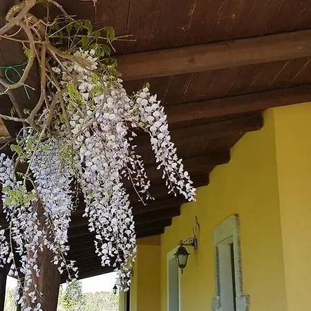 Guest house Luti Massama