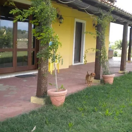 Guest house Luti