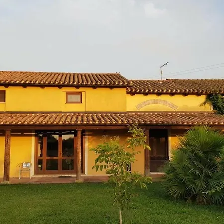 Luti Massama